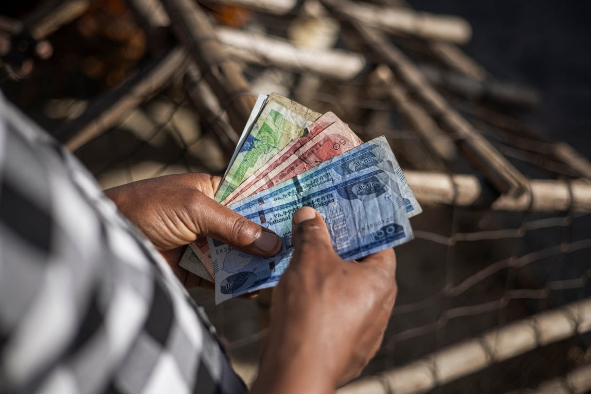 Paiements transfrontaliers : l'Éthiopie peut désormais payer l'Afrique sans passer par le dollar